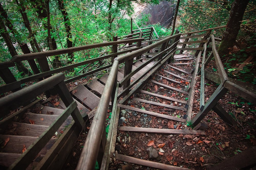 Фотография автора Анна Петина