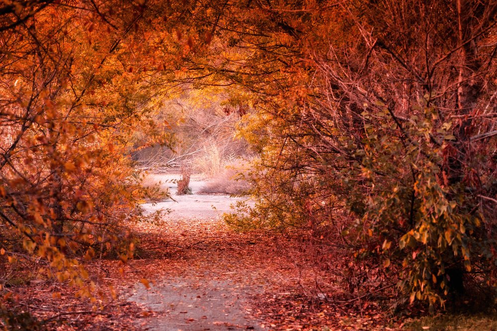 Старая дорога из Батайска в Ростов-на-Дону