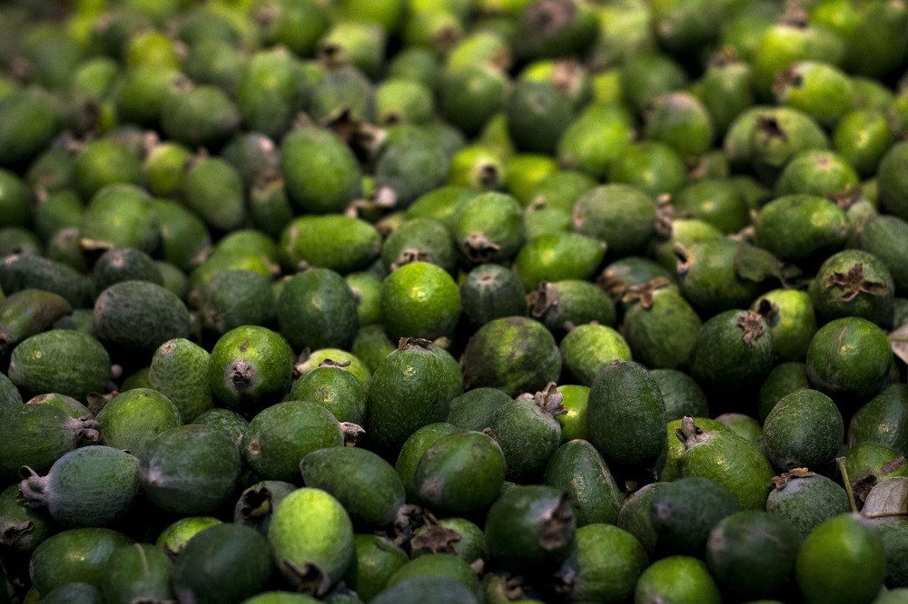 Вкусные оттенки зеленого