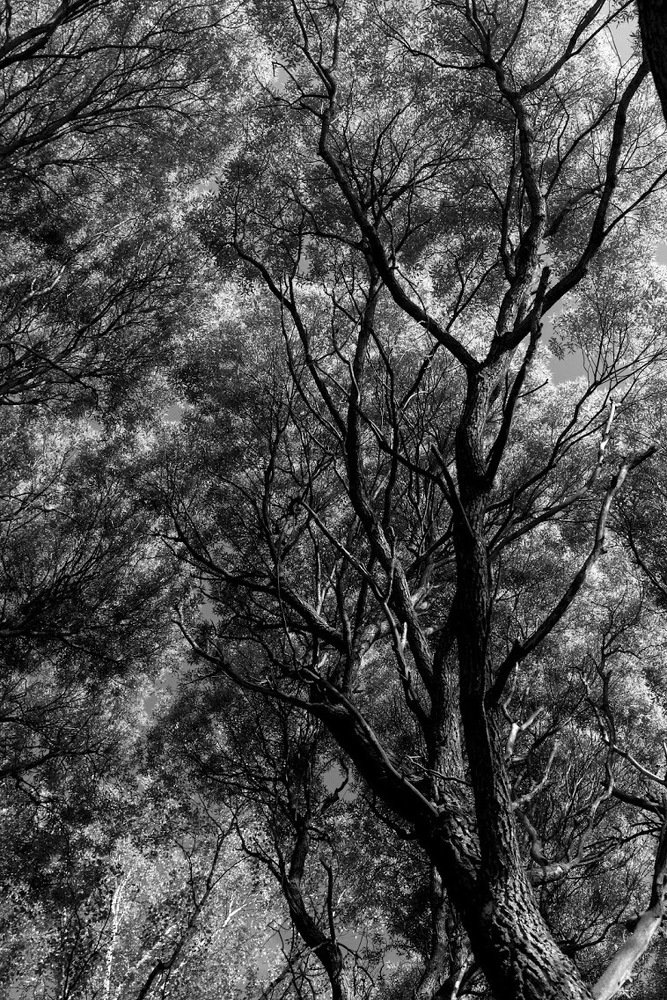 Photograph by Газетдинов Айрат