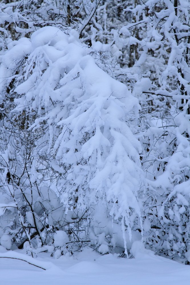 Photograph by Ольга Корчагина