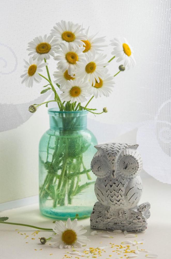 Photograph by Маргарита Федурина