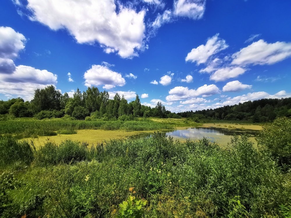 Photograph by Максим