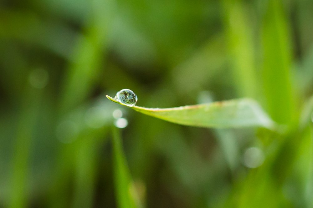 Photograph by Kateřina Mahďáková