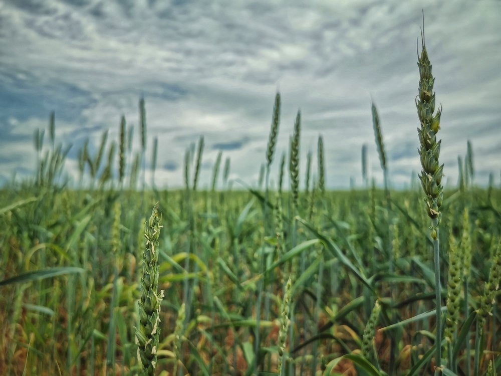 Photograph by Максим