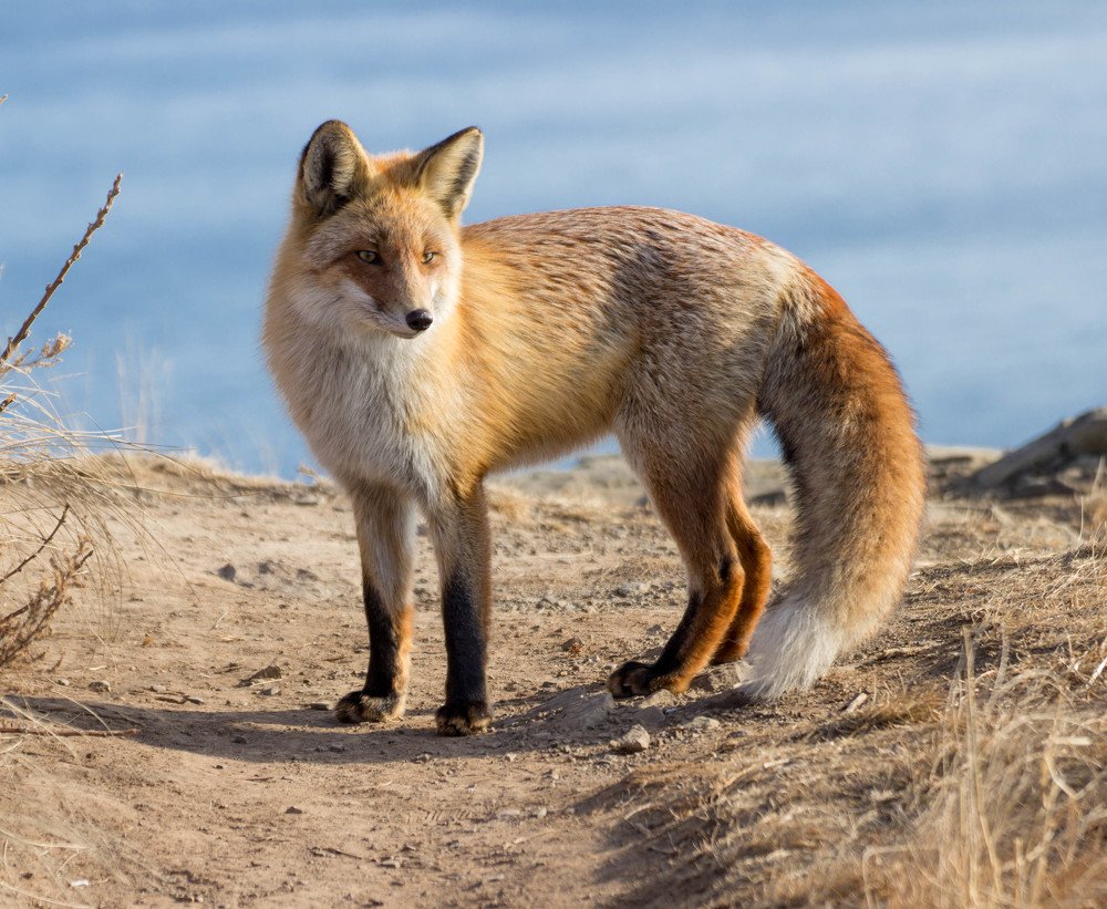 Photograph by Sergey