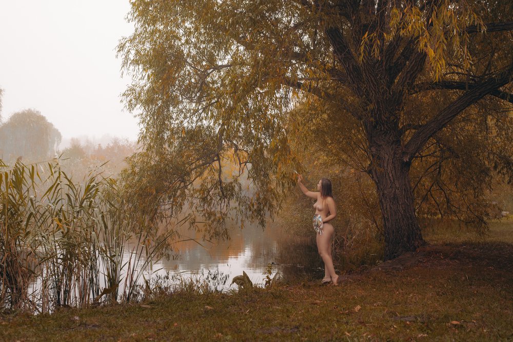 Photograph by Alex Litt