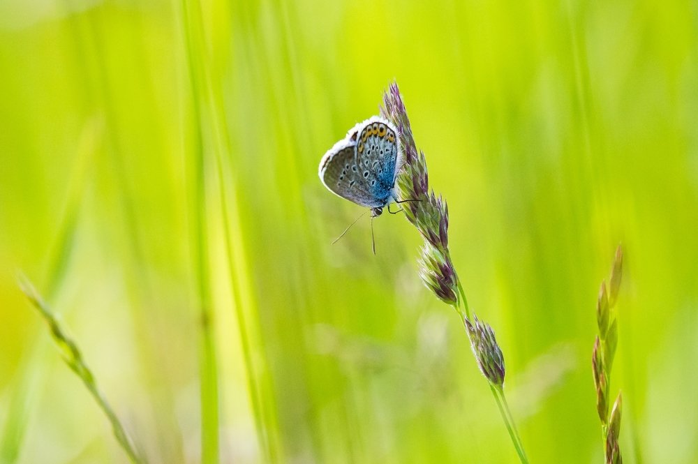 Photograph by Kateřina Mahďáková