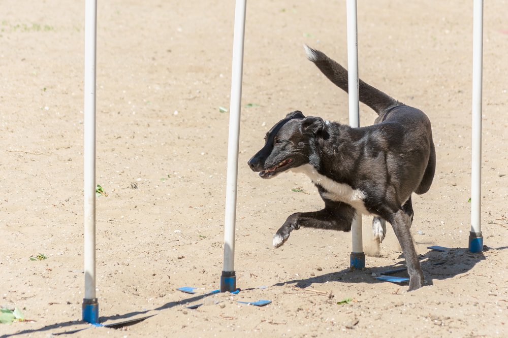 Гибкость и элегантность