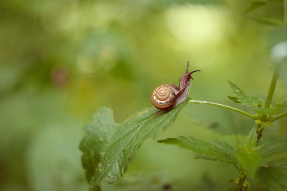 Photograph by Анна Миллер