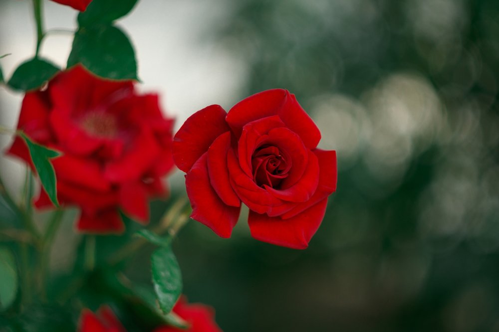 Photograph by Анна Миллер