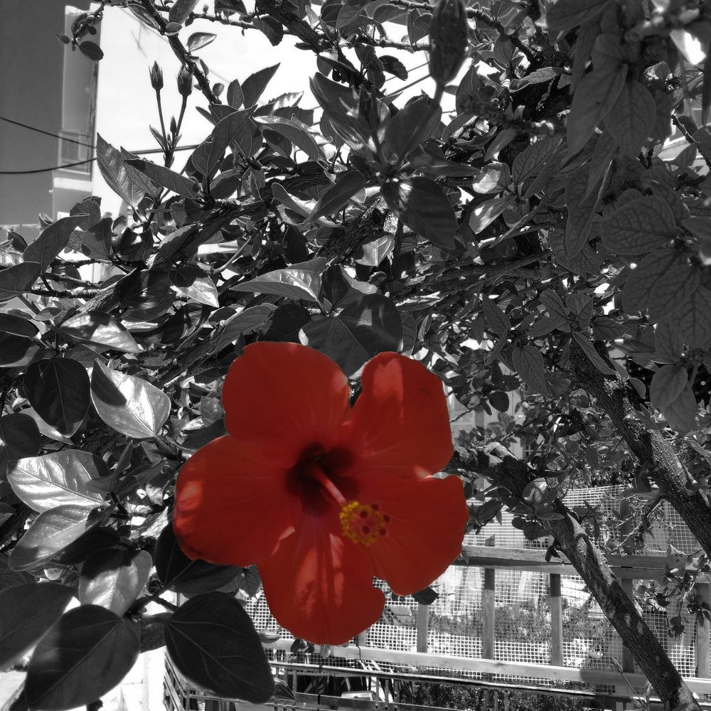 красота вокруг нас