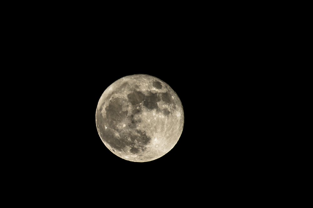 Photograph by Ольга Ли