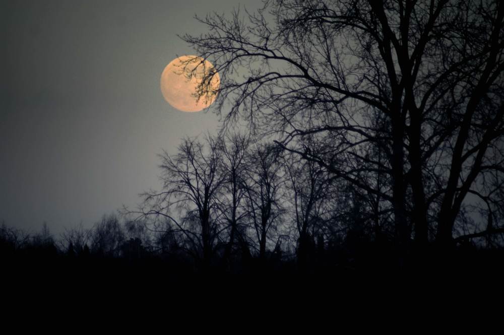 Photograph by Сергей Забиякин