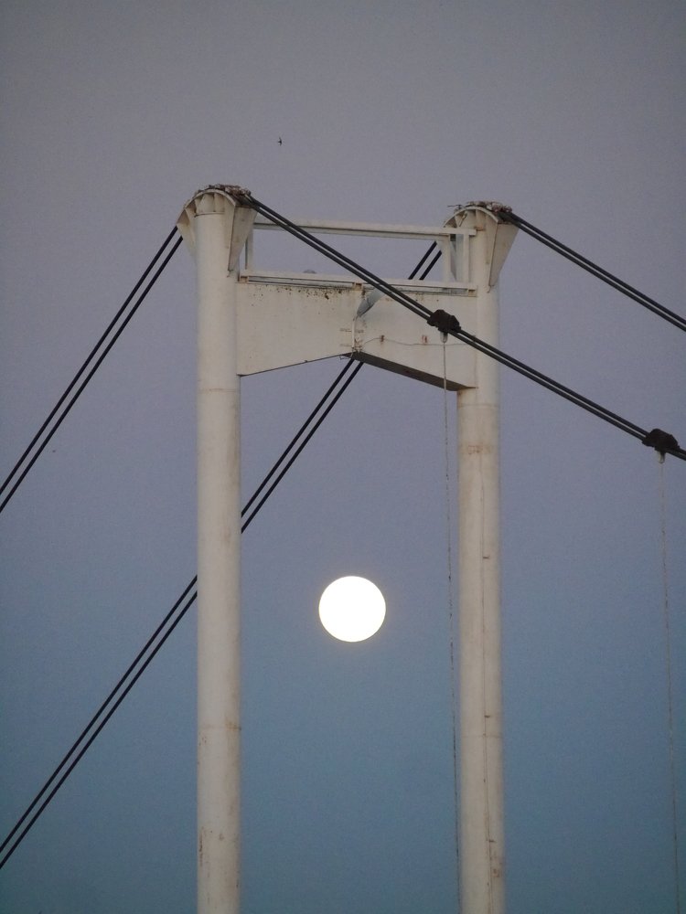 Photograph by Сергей Забиякин