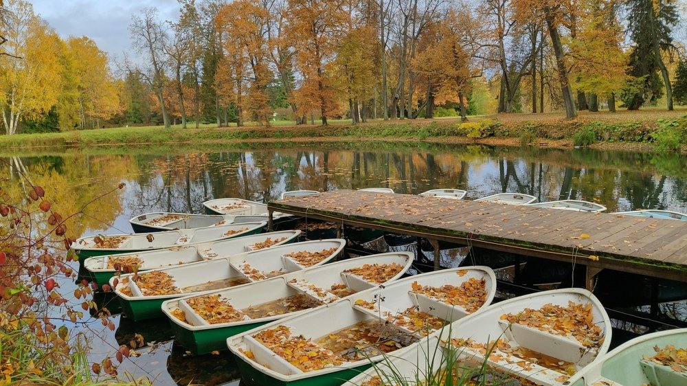 Photograph by Лукина Наталья