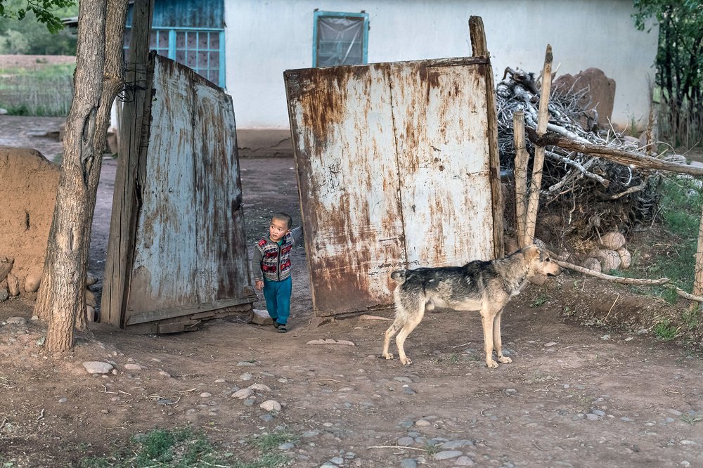Two curious, Kyrgyzstan 2019