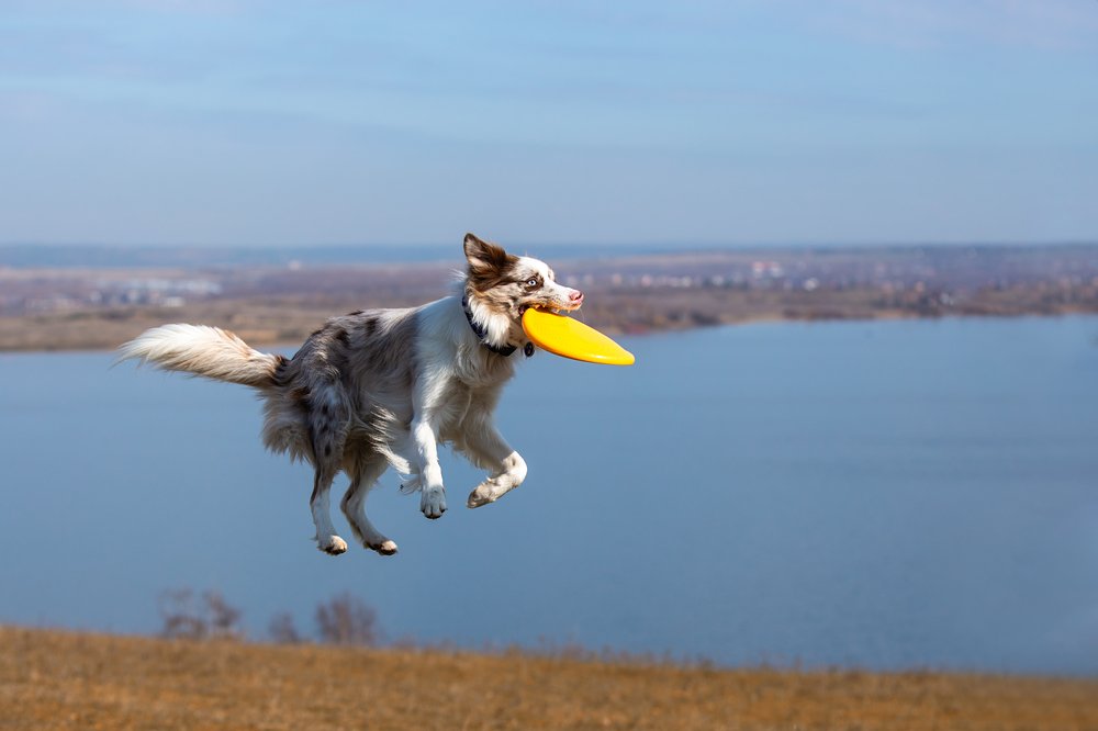 Photograph by Евгения ГЕССЕН