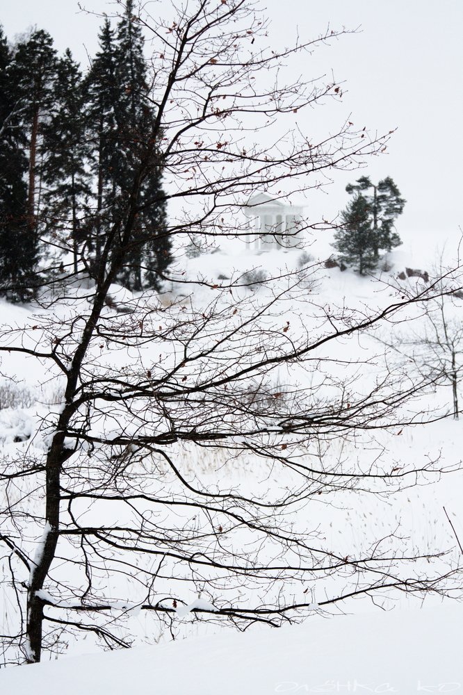 Photograph by Ольга Корчагина