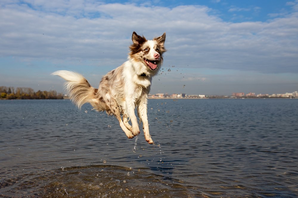 Photograph by Евгения ГЕССЕН