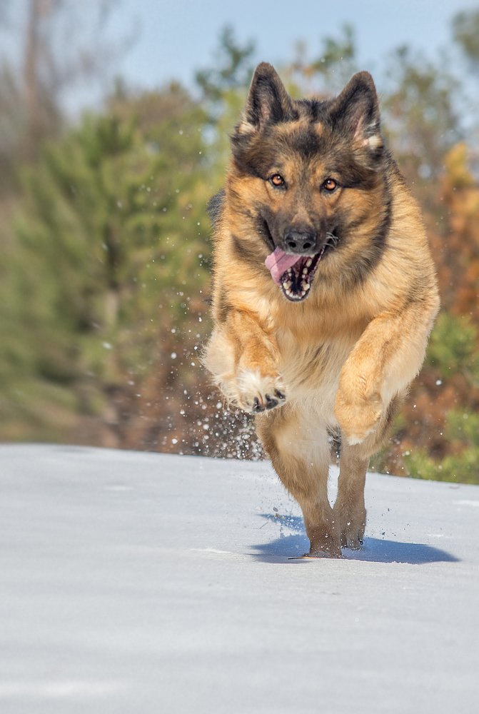 Photograph by Василий Малыш