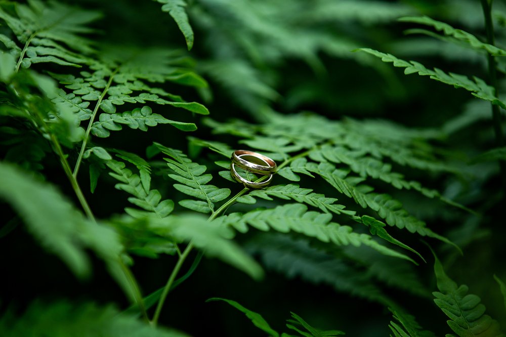 Photograph by Евгения ГЕССЕН