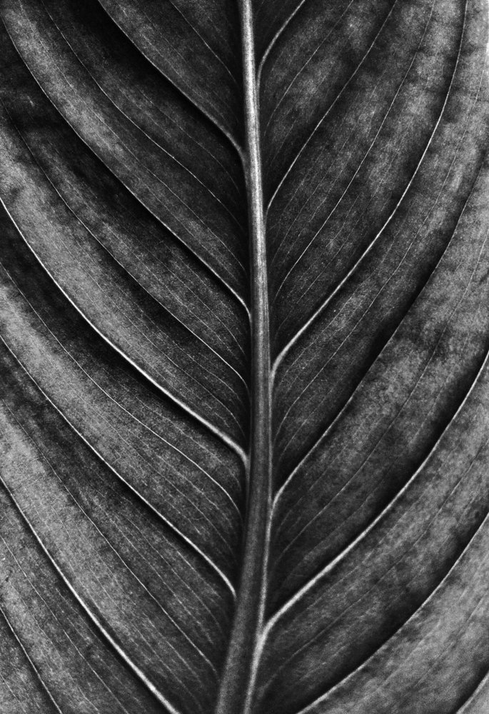 Photograph by Максим Двинин