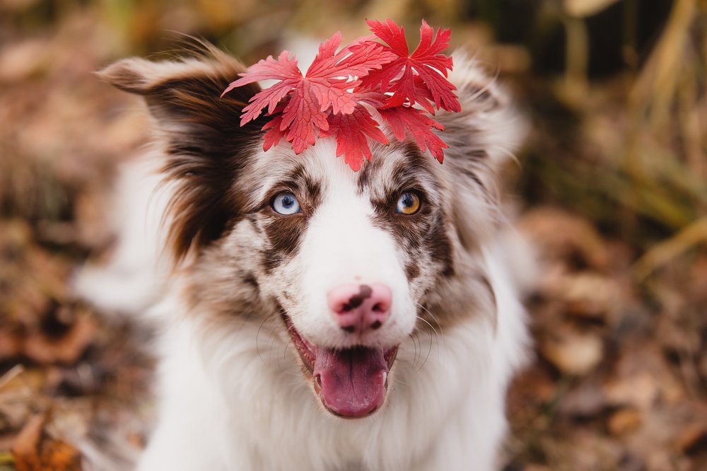 Photograph by Евгения ГЕССЕН