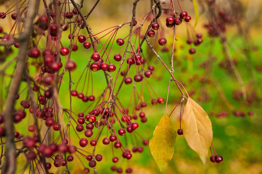 Photograph by Евгения ГЕССЕН