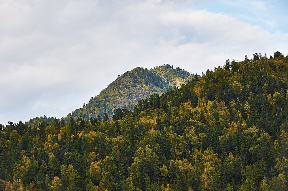 Photograph by Алексей Крылов