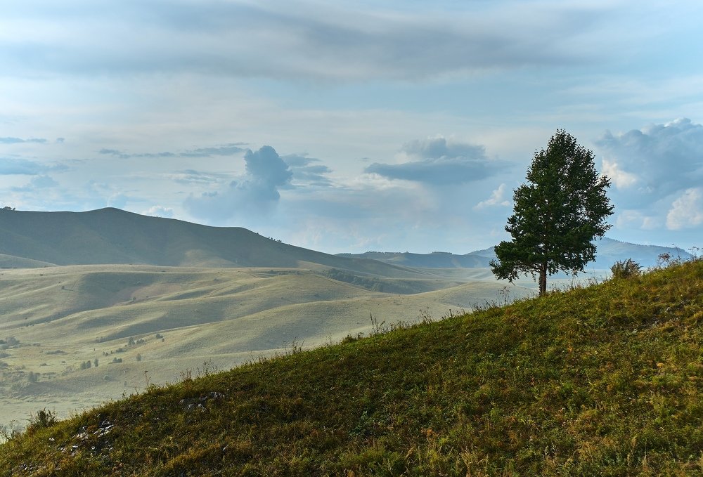 Photograph by Алексей Крылов