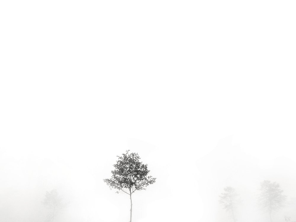 Photograph by Samir Yogol Shrestha