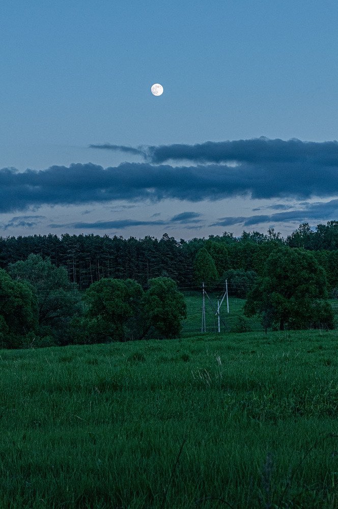 Photograph by Vladimir  Komarov
