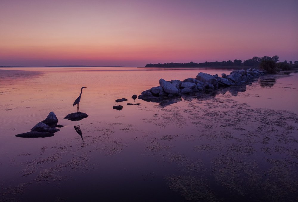 Photograph by Александр Колбасин