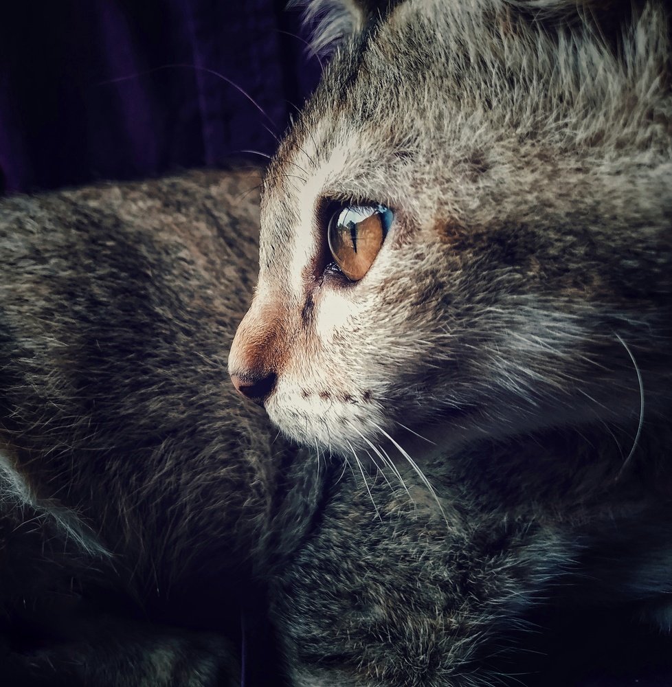 Photograph by Moshiour Rahman Prottoy