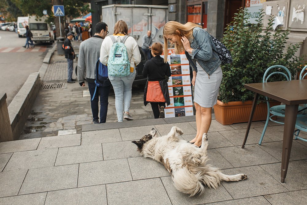 Фотография автора Тема Цезарь