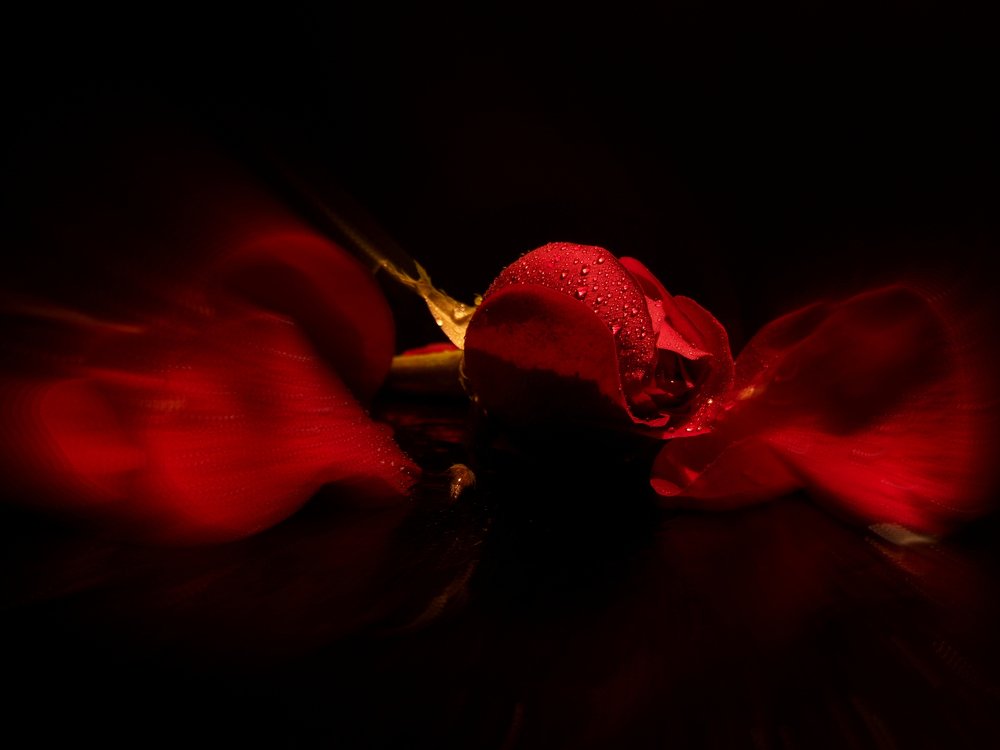 Passion - страсть