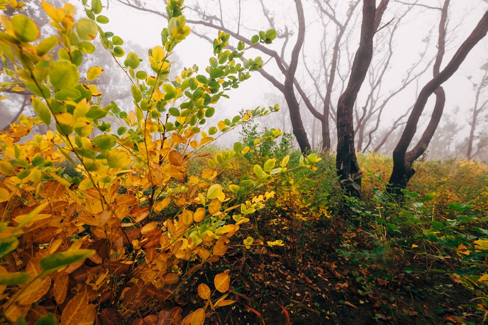 Photograph by Kaiser Sozo