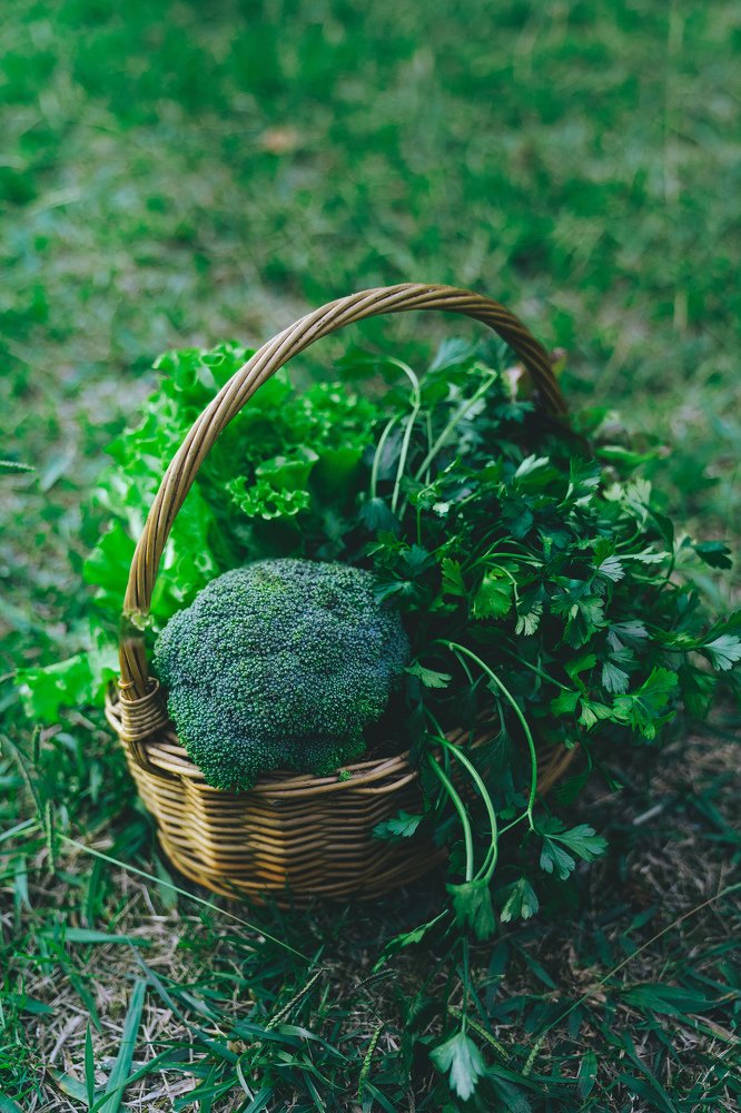 Photograph by Юлия Вьюгина