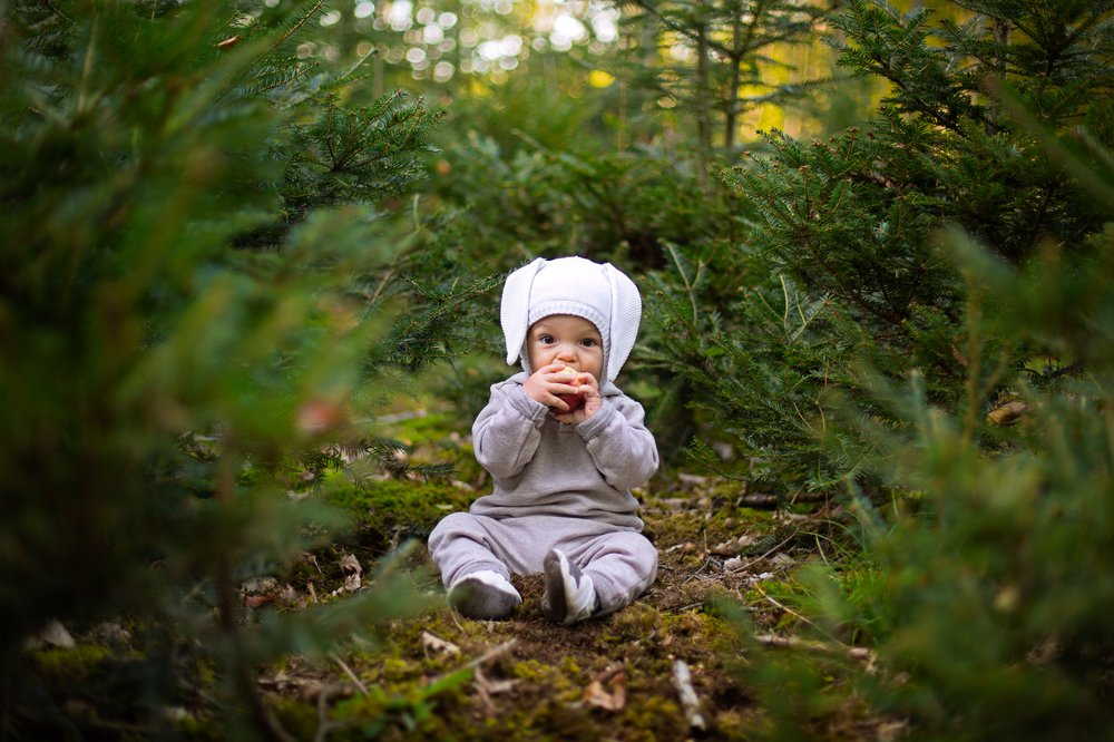 Photograph by Вера Калашникова