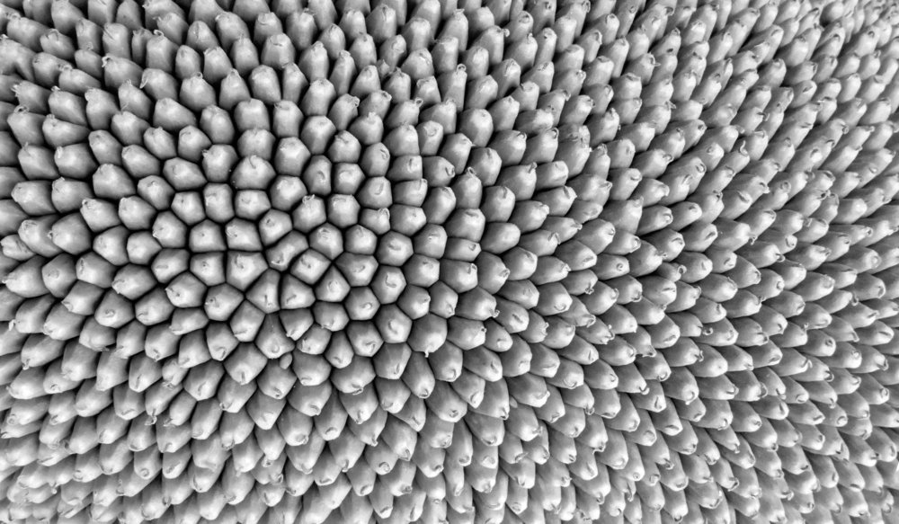 Фотография автора Людмила Прокофьева