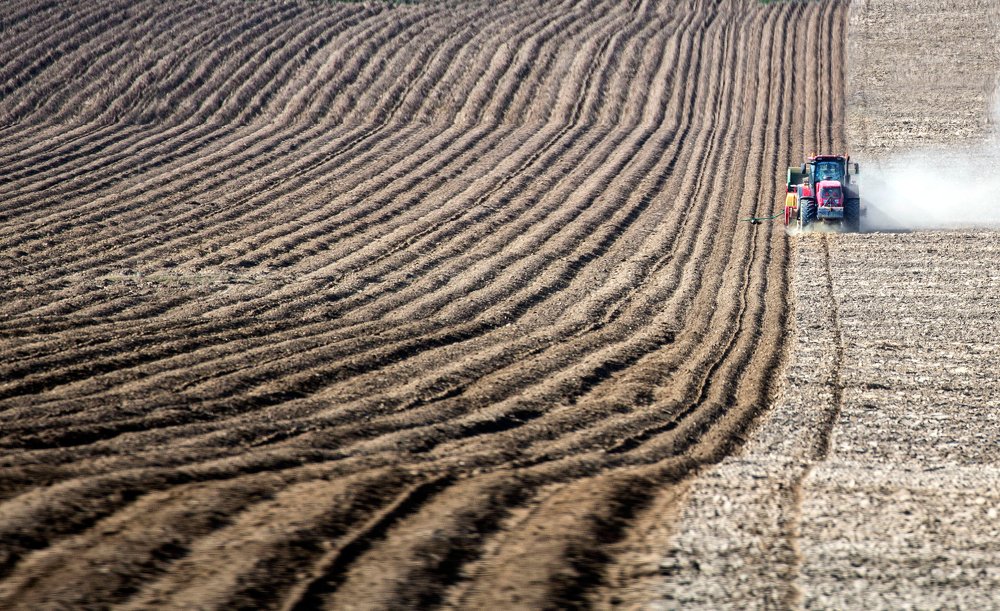 Фотография автора Людмила Прокофьева