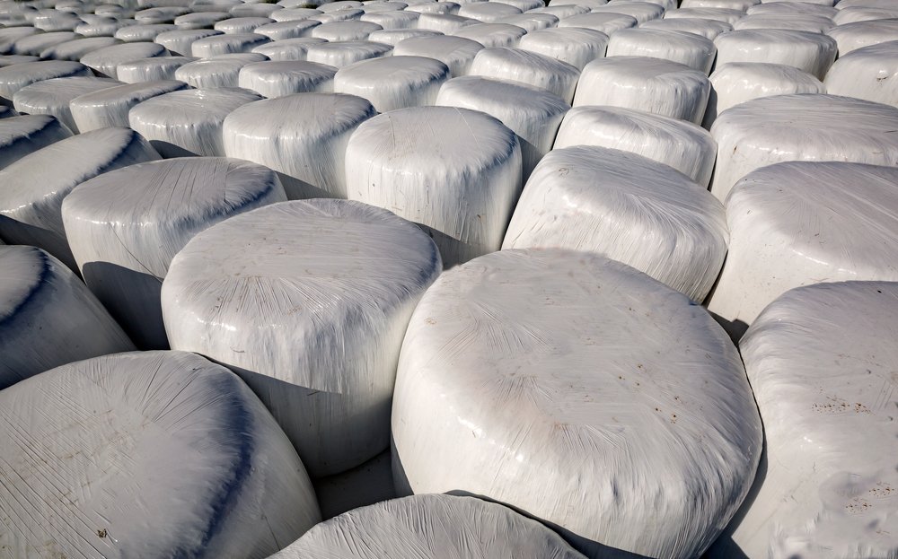 Фотография автора Людмила Прокофьева