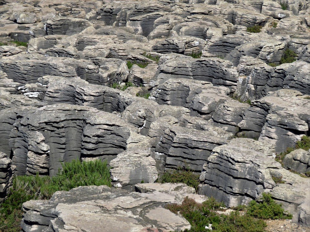 Photograph by Isabel Moreira