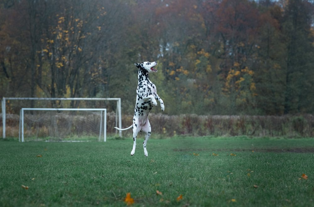 Photograph by Лариса Зернова