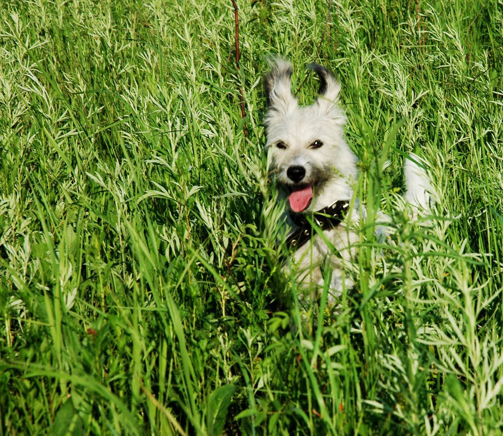 Photograph by Андрей Бойко