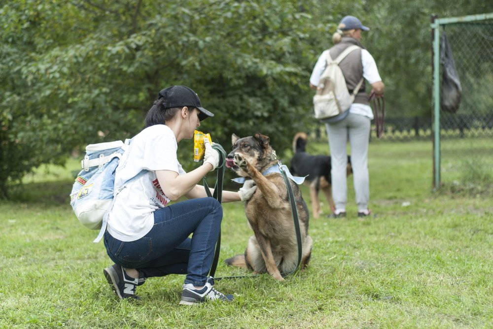 Фотография автора Евгений Даренский