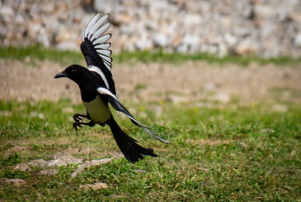 Photograph by MORTEZA ASALI