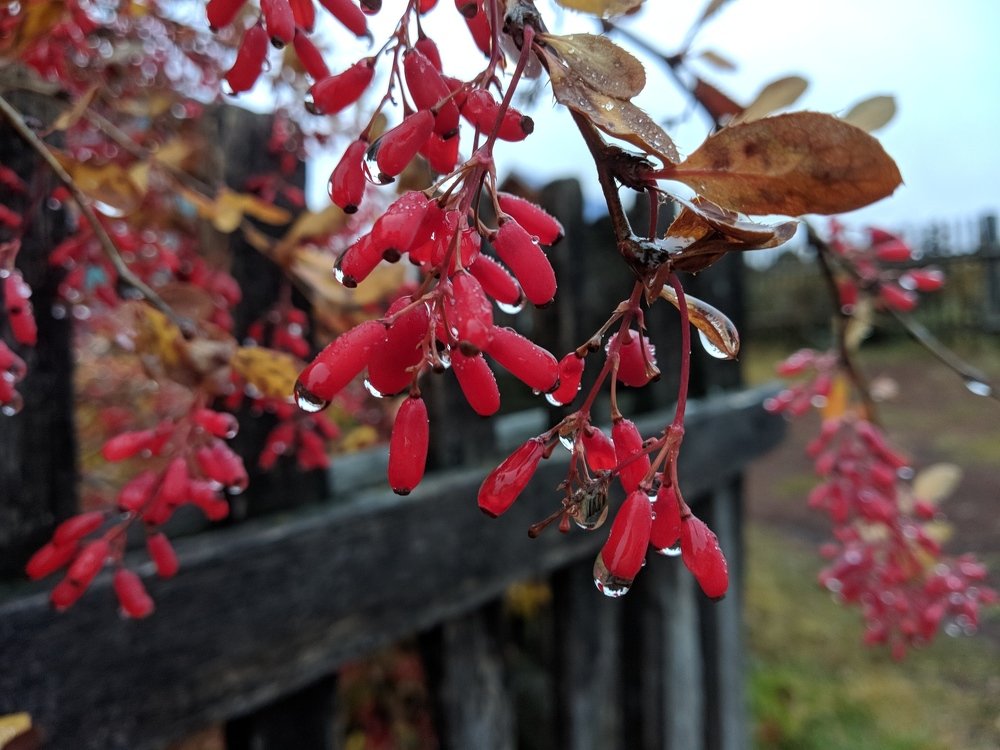 Photograph by Наиль Шакиров