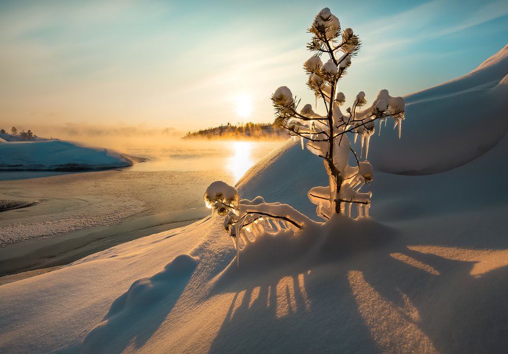 Photograph by Лашков Фёдор